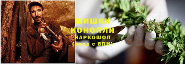 mdpv Белокуриха